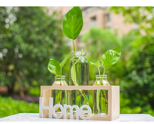 Hydroponic vase glass decoration