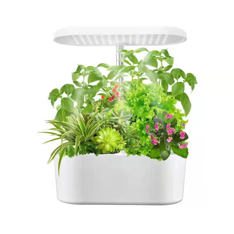 Indoor Planter Succulent Pot Plant Light