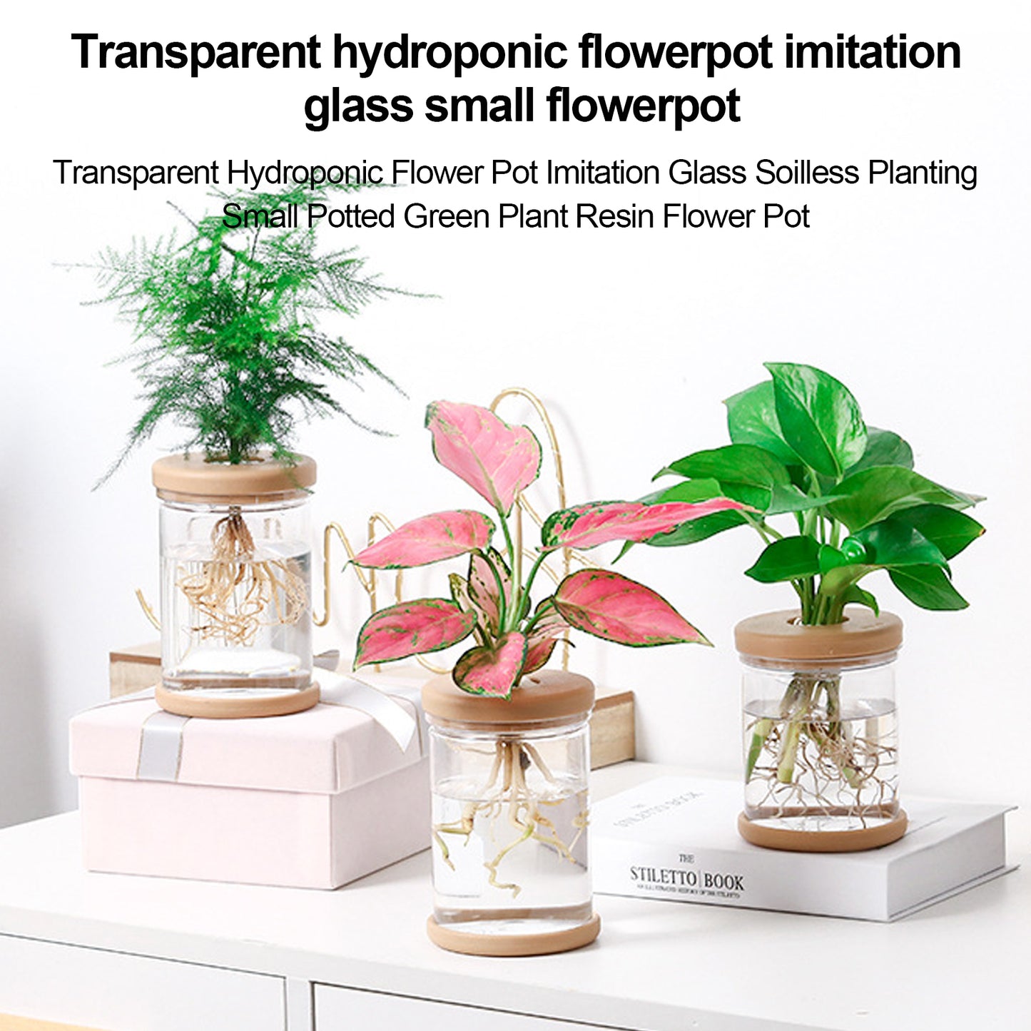 Compact Hydroponic Glass Vase with Silicone Cap