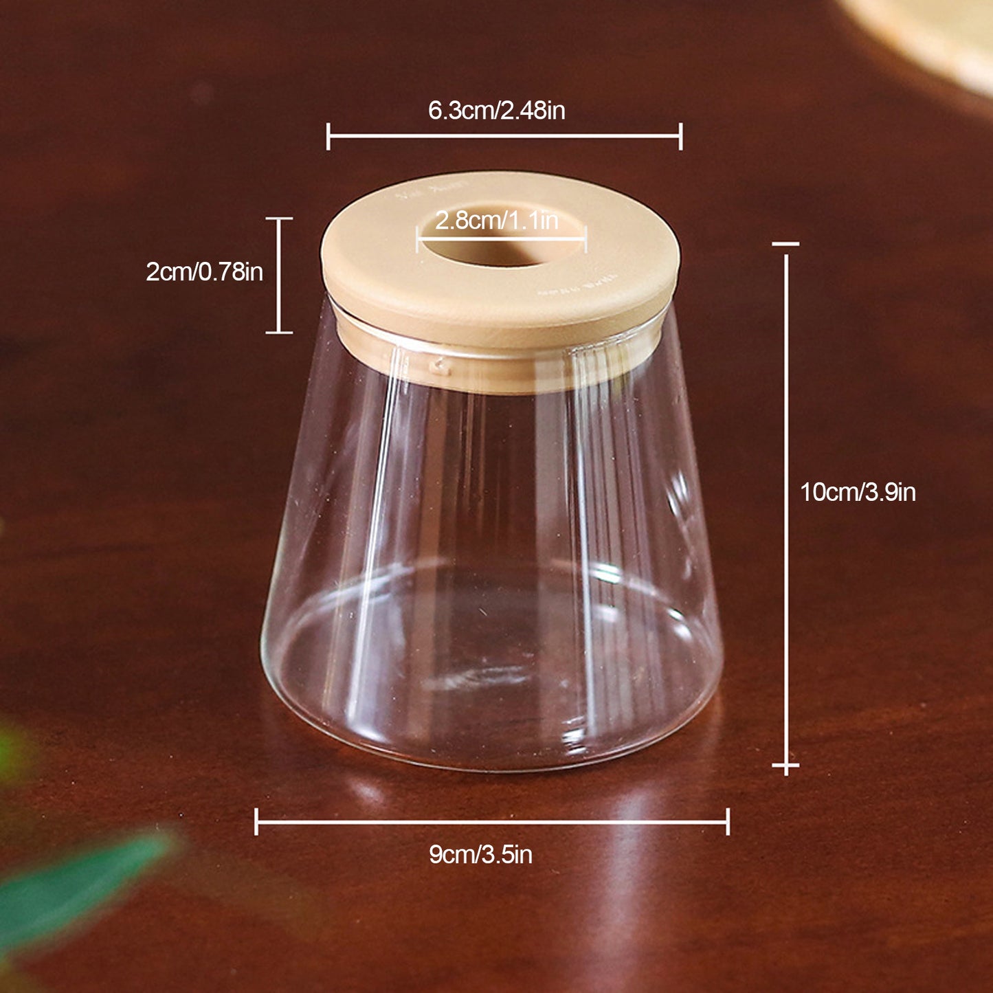 Compact Hydroponic Glass Vase with Silicone Cap