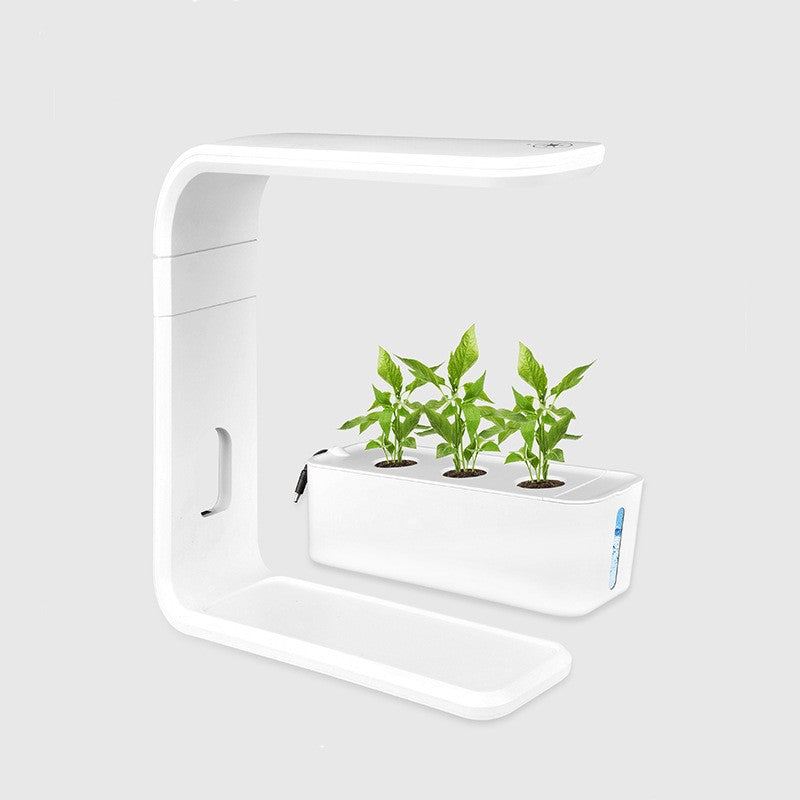 Vegetable Planter