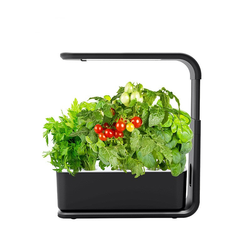 Vegetable Planter